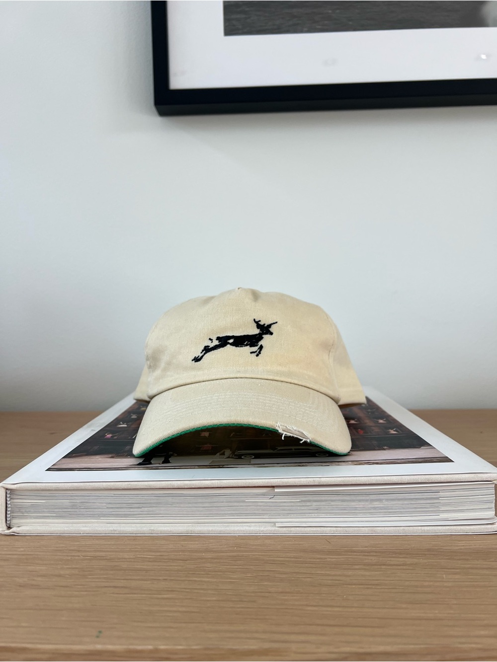 Fieldwork Buckshot Cap